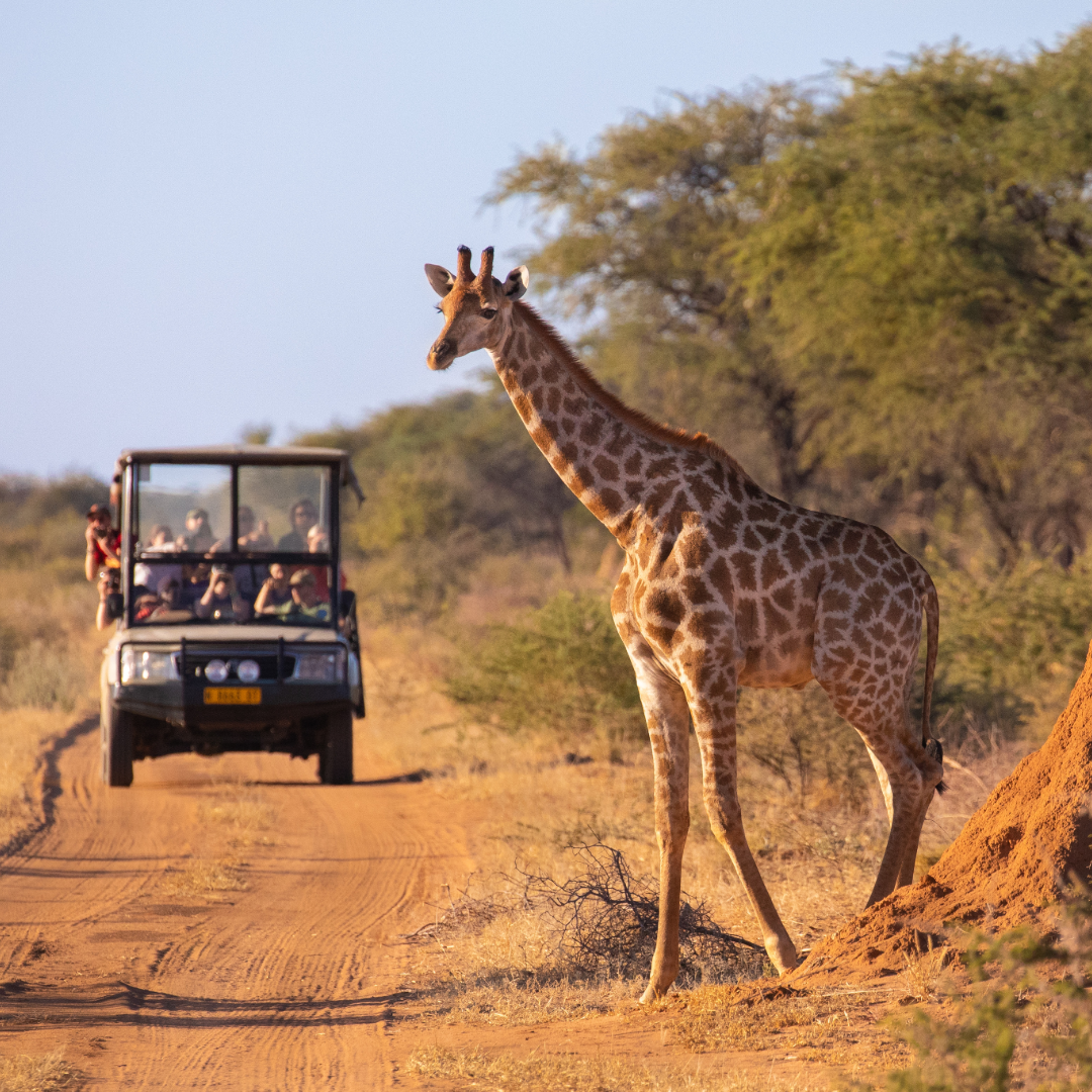 A Kenyan Honeymoon - Nairobi